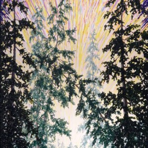 12) spellbound 20 x 36
