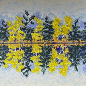 5) on reflection 1, 40 x 16