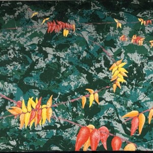 7) sumac 3, 30 x 15